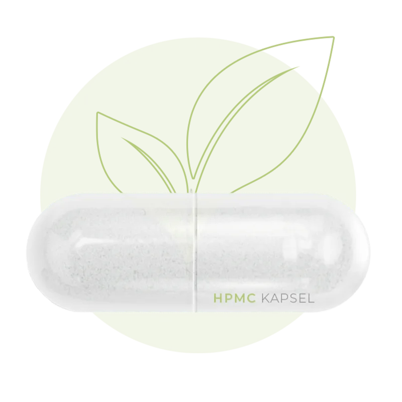 HPMC Kapsel