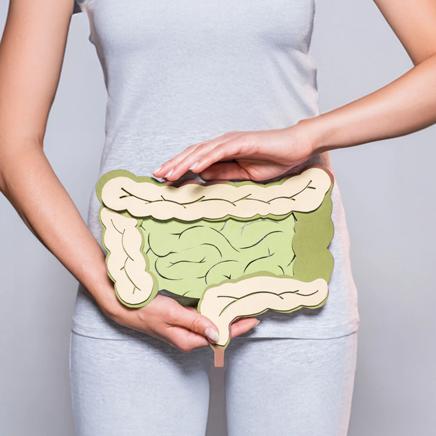 Nahaufnahme des Bauchs einer jungen Frau, die ein aus Pappe gebasteltes Modell eines Darms hält.