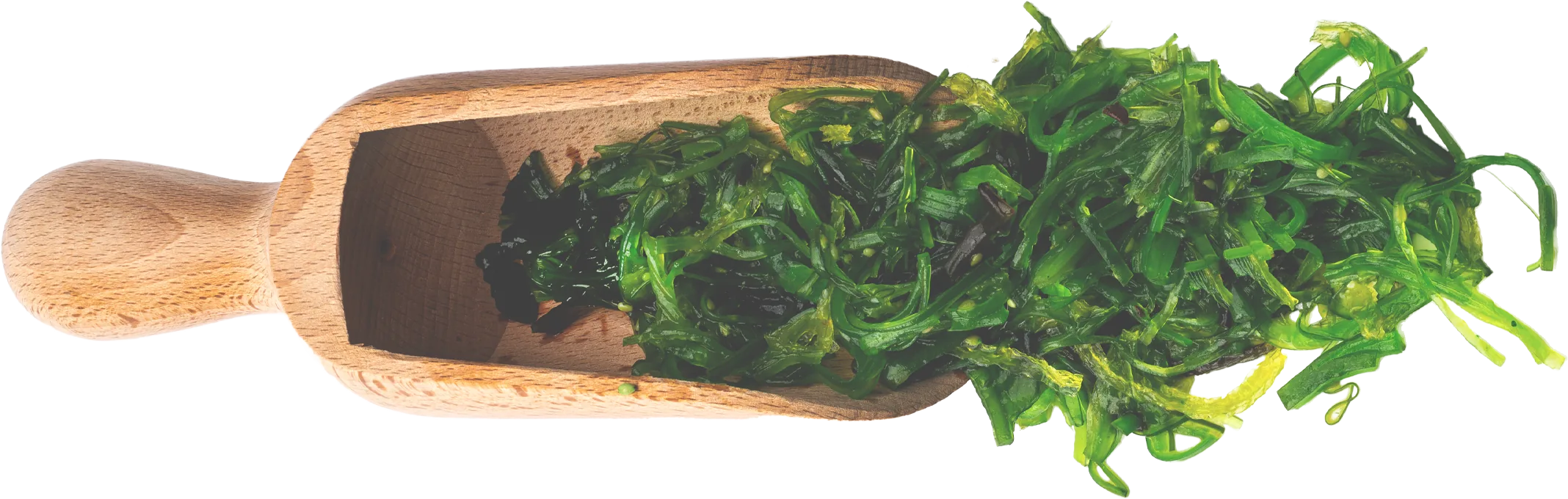 Frischer Seealgensalat in einer Holzschale.