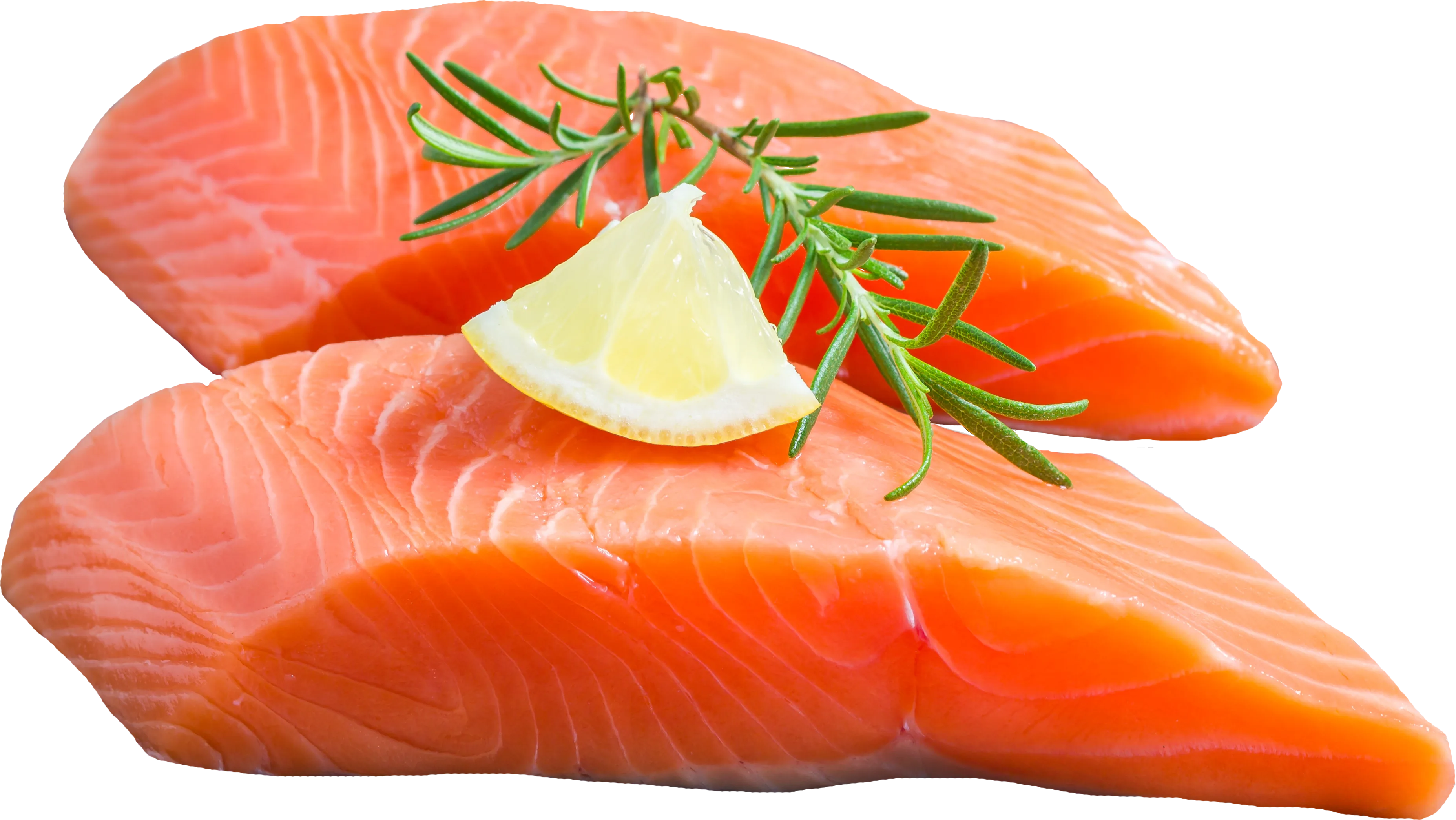 frischer Wildlachs